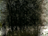 07-40