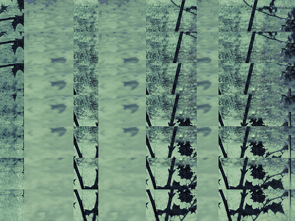 07-233