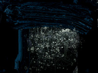 32B7F442-EF09-462F-ADB4-9F746FA8502B