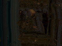 ABB7A257-F409-47C7-BB04-18D010A0259E