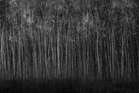 101214-420