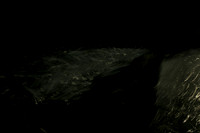 20140203-030214 #271