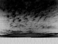 IMG_8527
