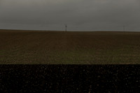field 2 #3