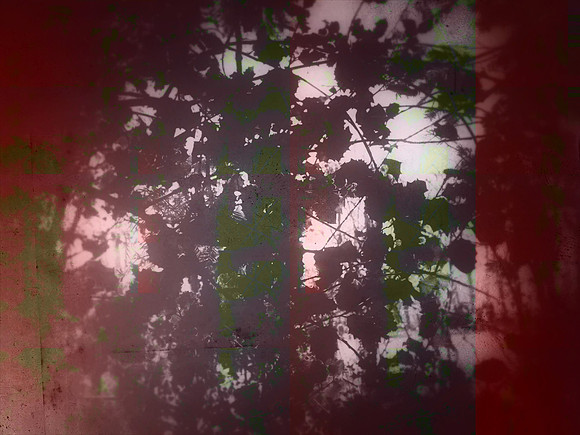 04-54