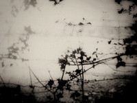 05-20