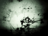 05-21