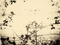 05-16