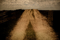 track #6