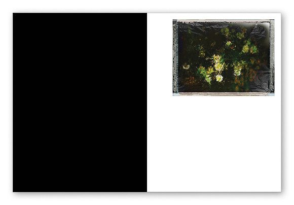 JWE-JW-RL-V210x280-PR-Spreads33_1080px