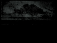 10-64