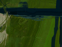 17D0B2C7-2F09-4402-995A-193F15FB74A0