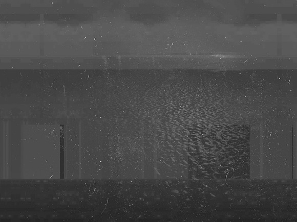 10-260