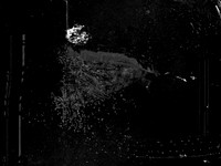 luna 10-48