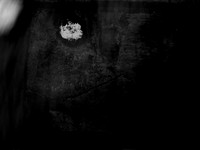 luna 10-33