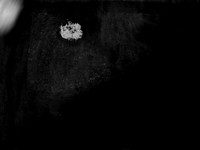 luna 10-38