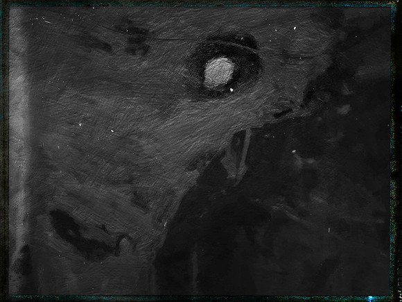 luna 8-19