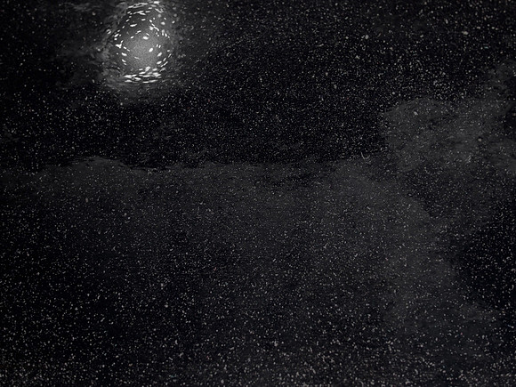 luna 3-229