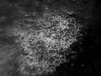 IMG_7533-Edit