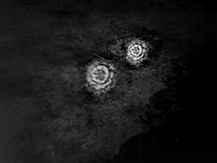 IMG_7531-Edit