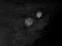 IMG_7528-Edit