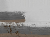 sea-4335_48399143902_o