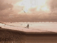 sea-8590_48360270572_o