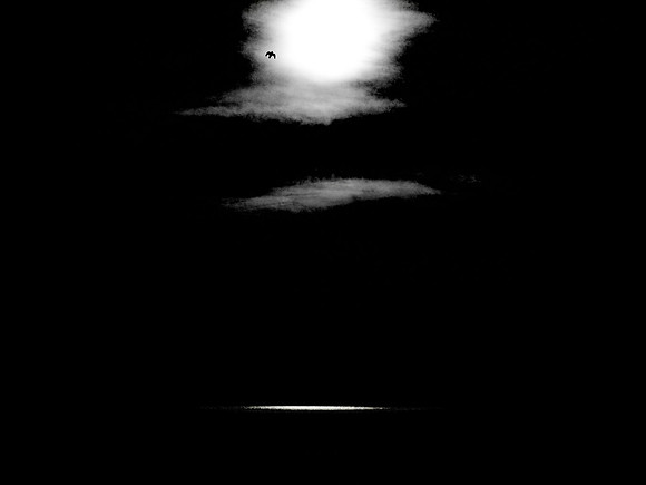 280817-8-Edit