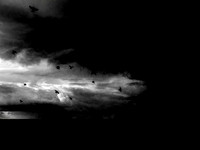 080917-1-Edit-Edit