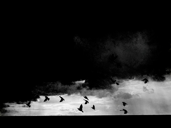 080917-27v2-Edit