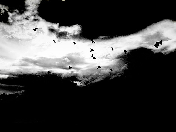 080917-21-Edit