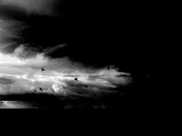 080917-2v2-Edit