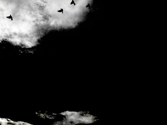 080917-14-Edit