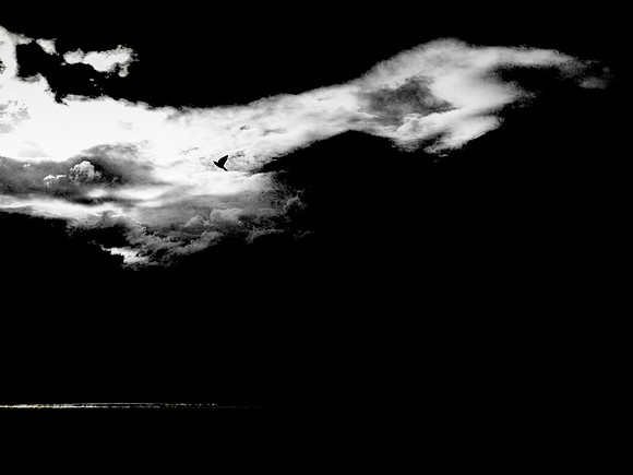 080917-19-Edit-Edit