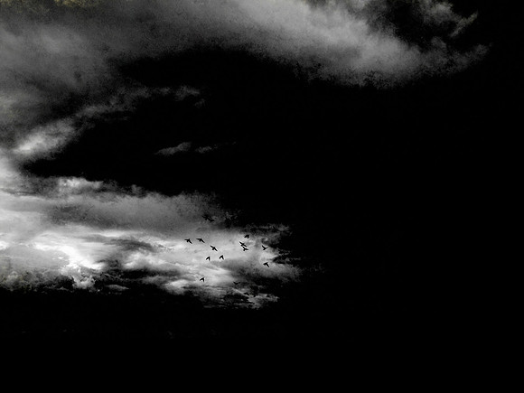 080917-4-v2Edit
