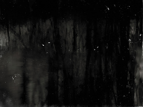 MOTH-198