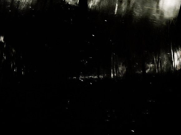 MOTH-164