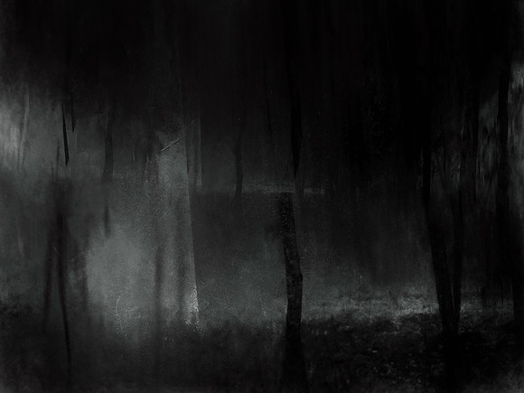 MOTH-193