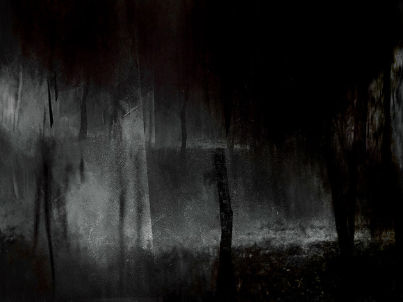 MOTH-186