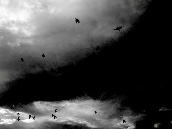 080917-12-Editv2