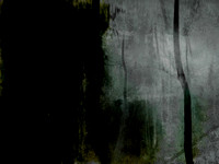 MOTH-153