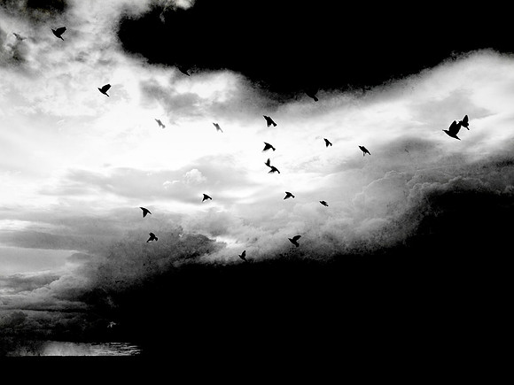 080917-21v2-Edit