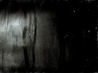 MOTH-199