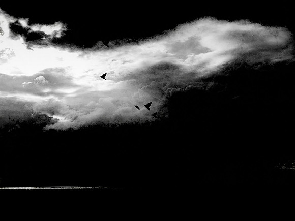 080917-19-Edit