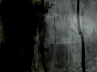 MOTH-149