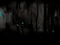 MOTH-209