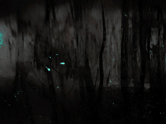 MOTH-209