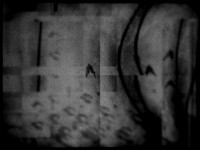 2-11
