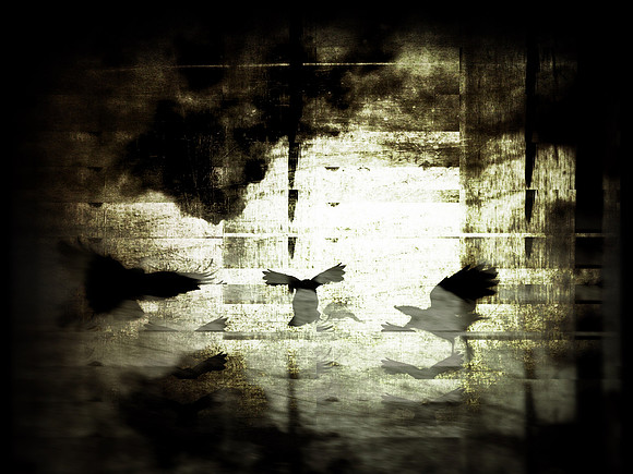 14-64