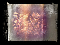050917-6
